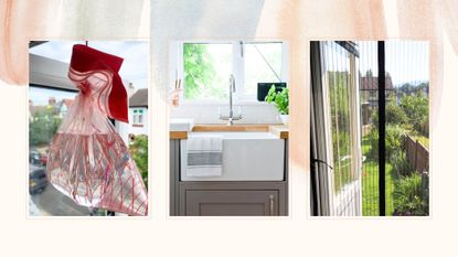 collage of three methods to get rid of flies in the house