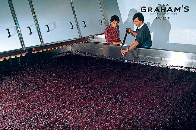 Understanding Tawny Port