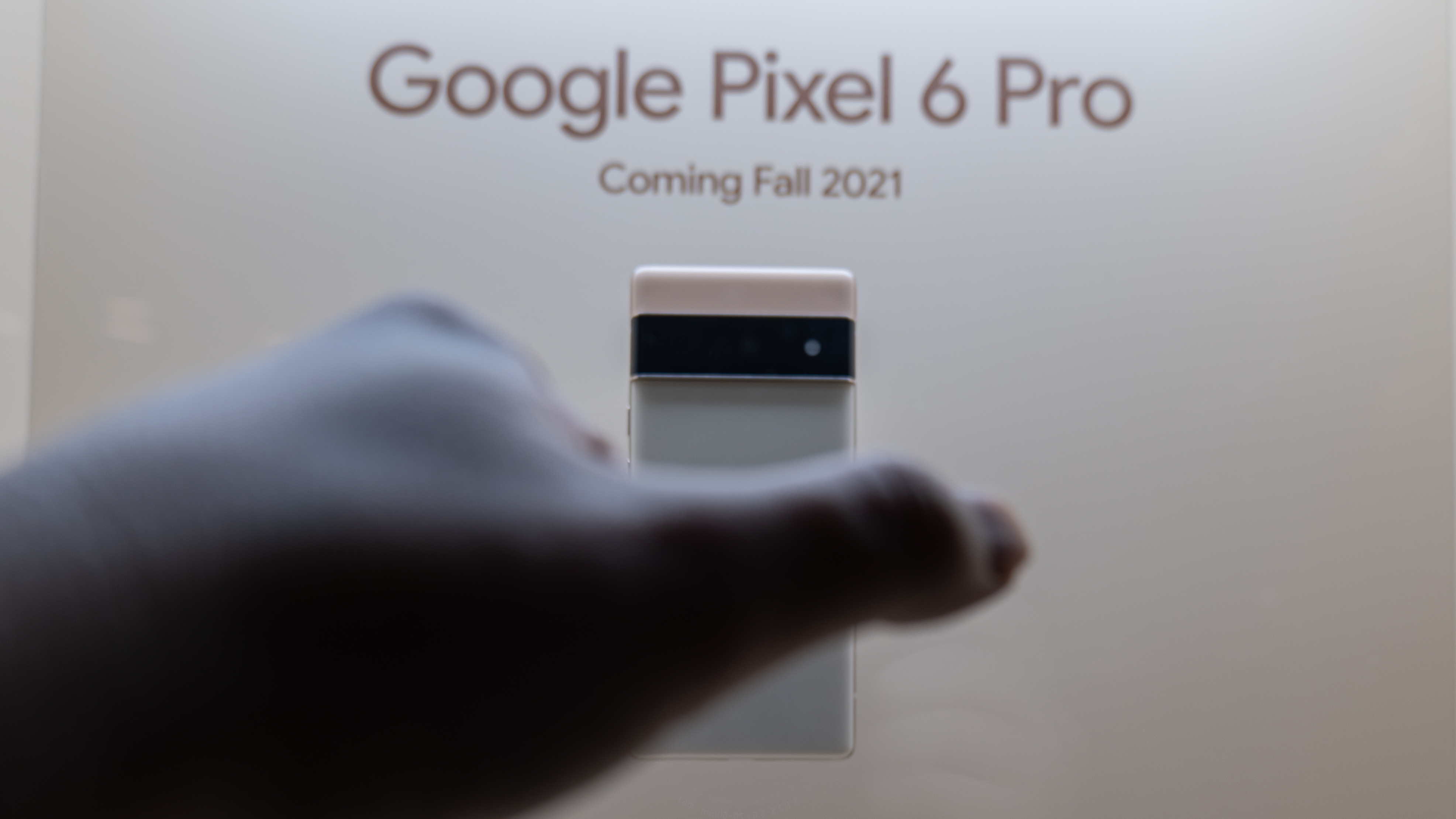 Google Pixel 6 phones on display