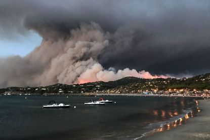 A wildfire on France's Mediterranean coast.