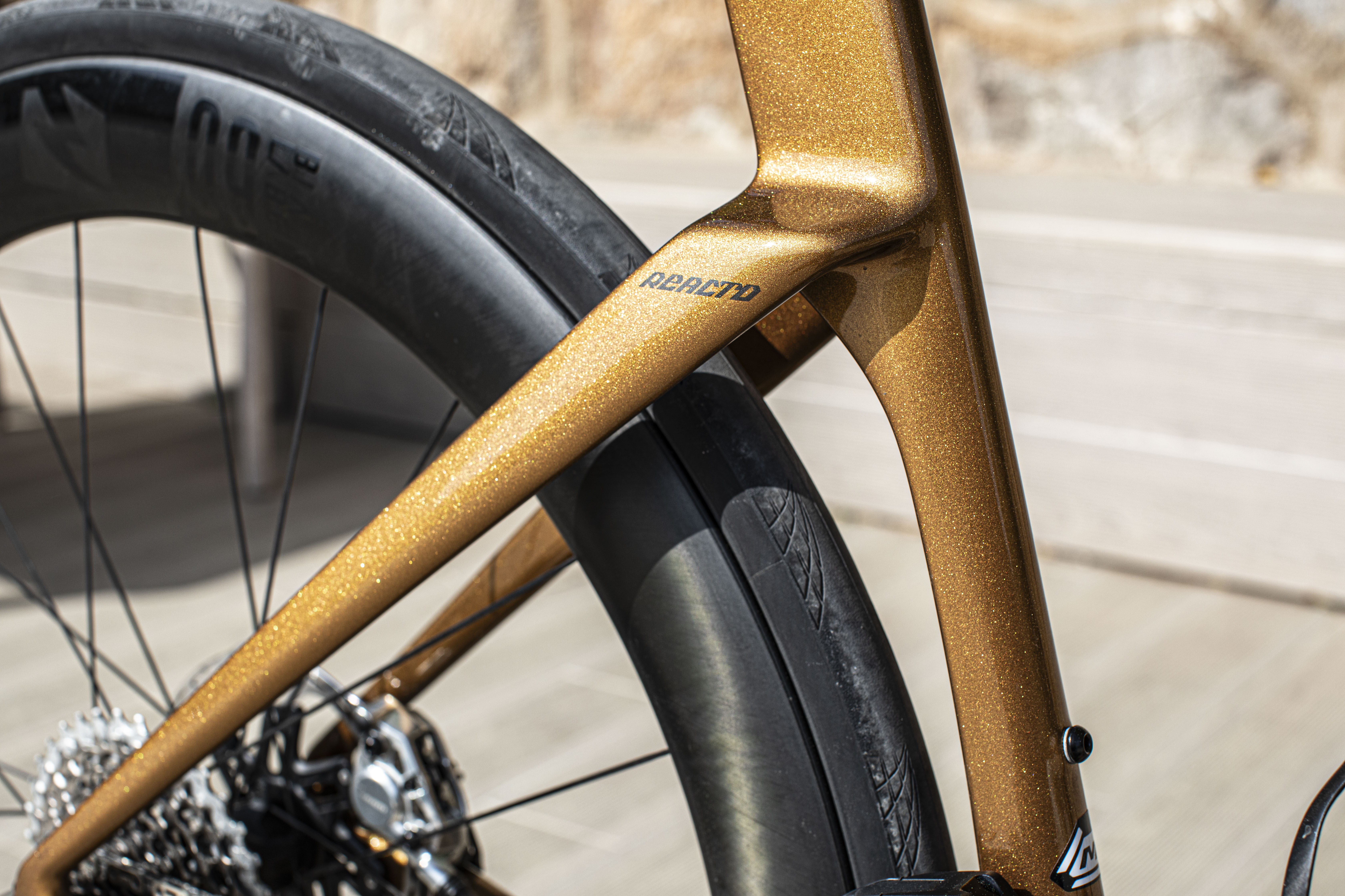 Fifth-generation Merida Reacto rear triangle detail pictured outside