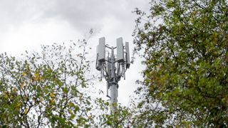 A network mast appears above a tree line, with branches partially obscuring the photo