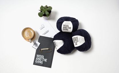 DIY knitting kit by Mother of Pearl X Wool and The Gang