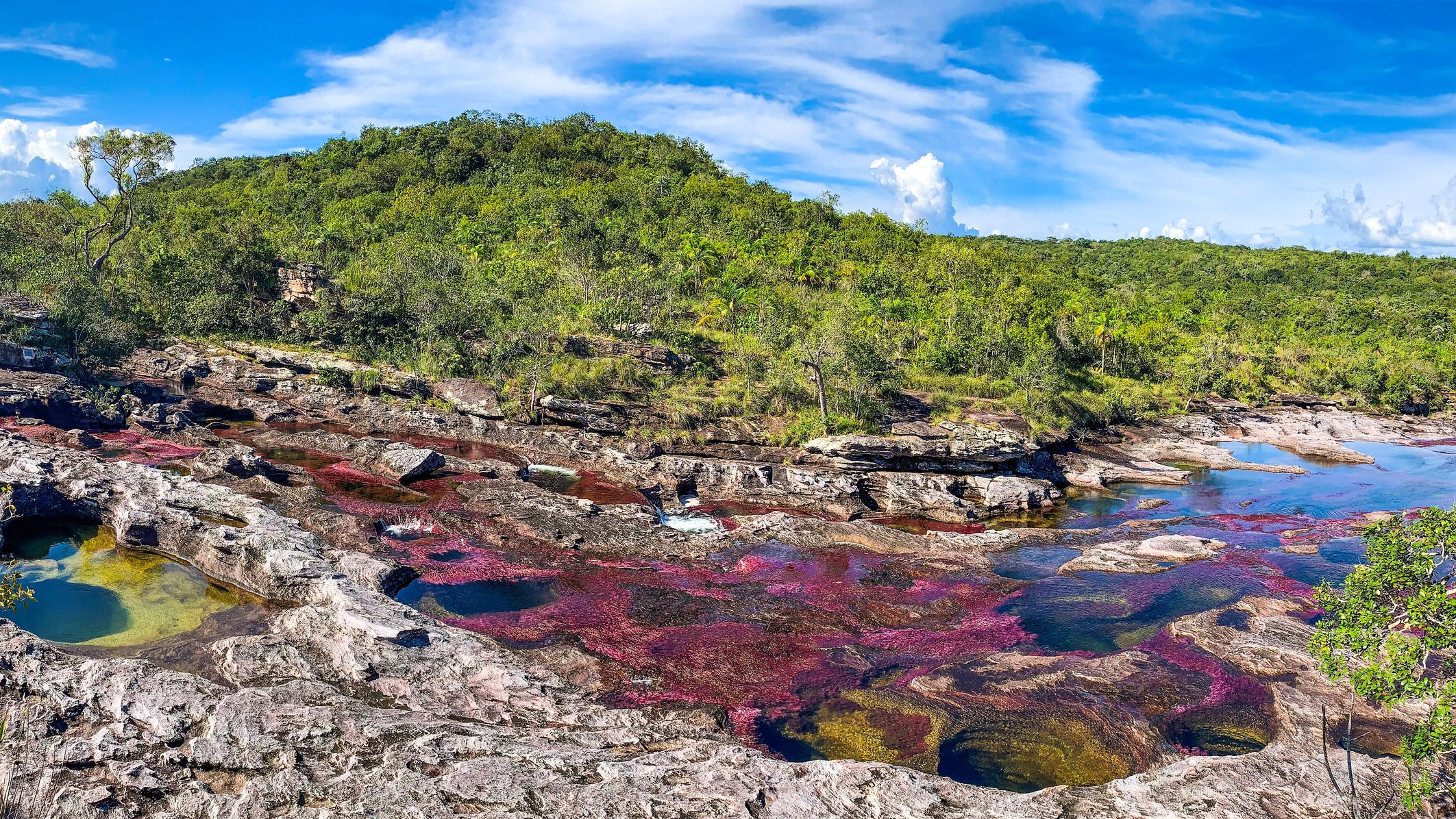 Located in the Serrania de la Macarena, Caño Cristales is noted for its striking colors, thanks to the macarenia clavigera plant for its bright red hues. In addition, the Caño Cristales is a river with a relatively fast current along many parts with many rapids, waterfalls and several circular pits or holes