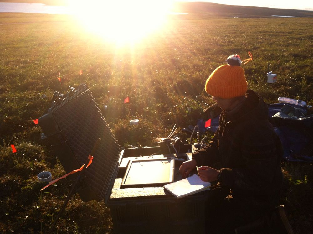 Sun shining on permafrost, global warming, carbon