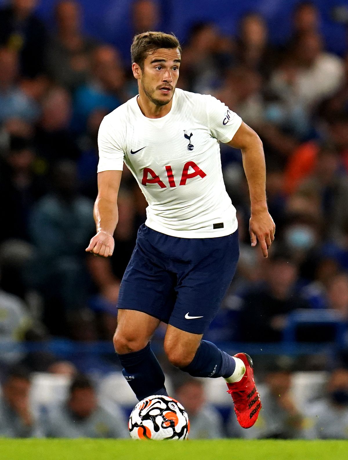 Harry Winks File Photo