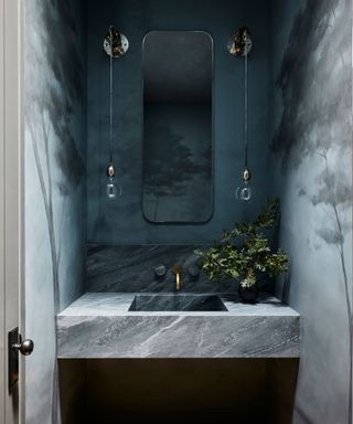 Lindsay Gerber Interiors powder room with Trompe-l'œil landscape artwork by Caroline Lizarraga