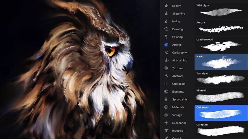 An illustration of an owl beside some of the best Procreate brushes 