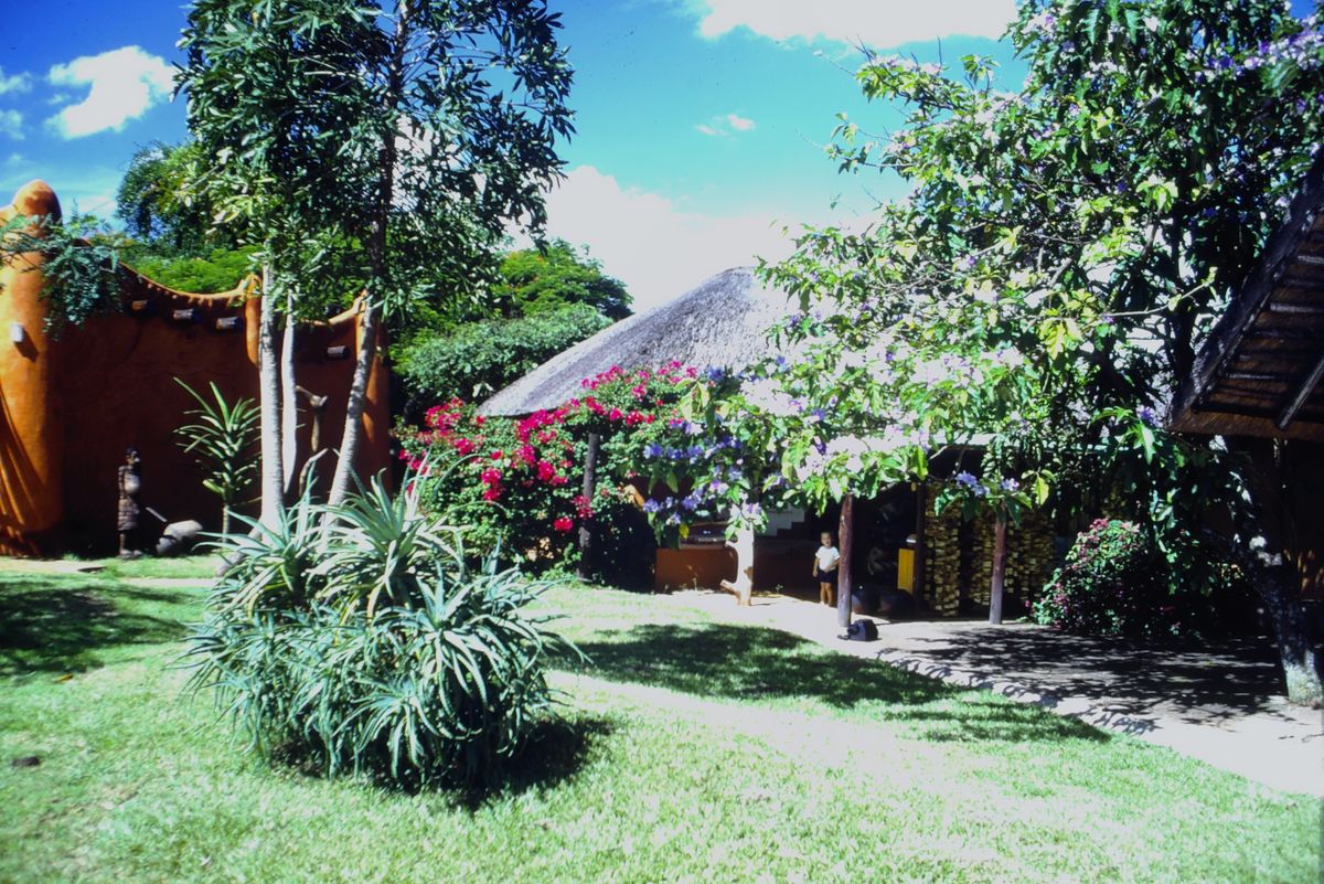 Kodak Slide N Scan Digital Film Scanner review Digital Camera World