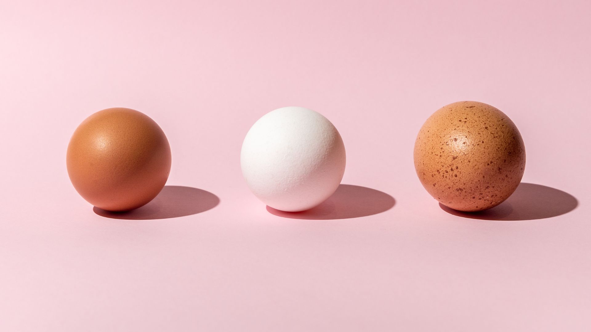Eggs