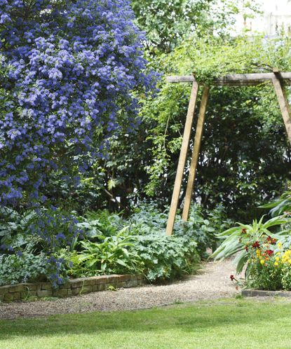 Top 5 planting mistakes to avoid – from the experts | Homes & Gardens