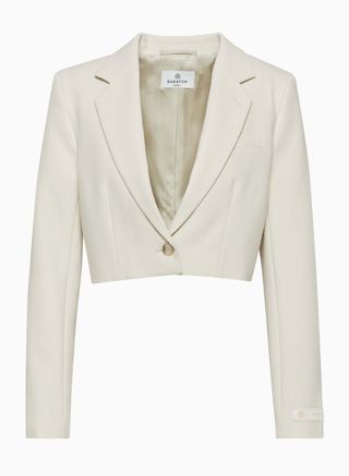 Aritzia, Babaton Arbus Blazer