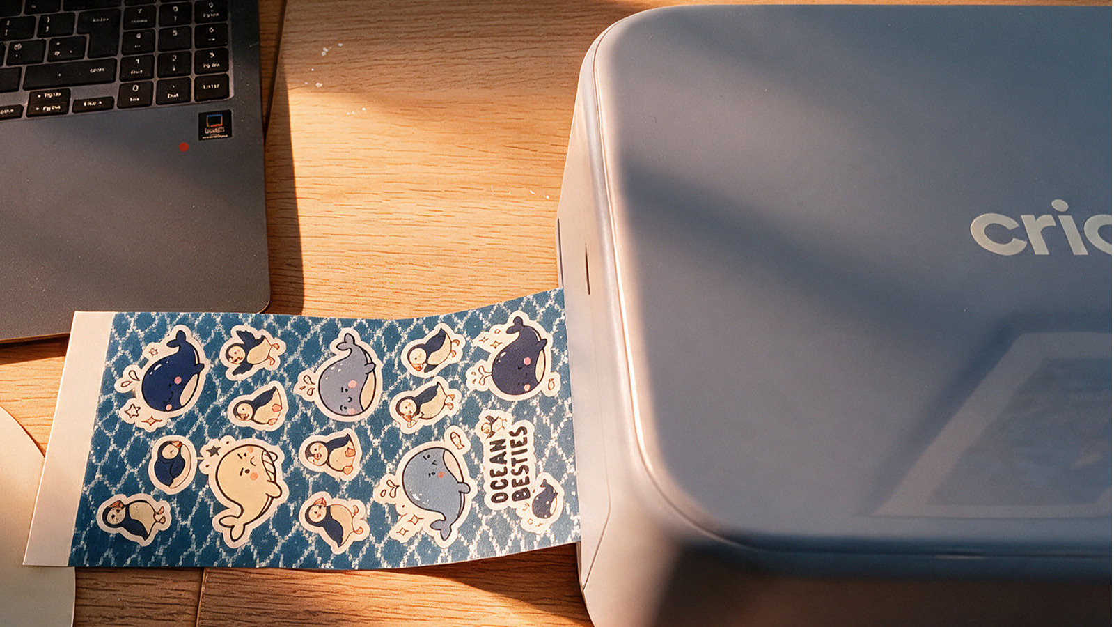 Cricut has made printing stickers and professional photos incredibly easy &ndash; now about those refills&hellip;