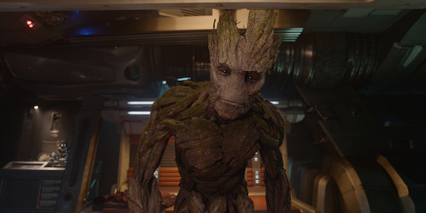 Groot