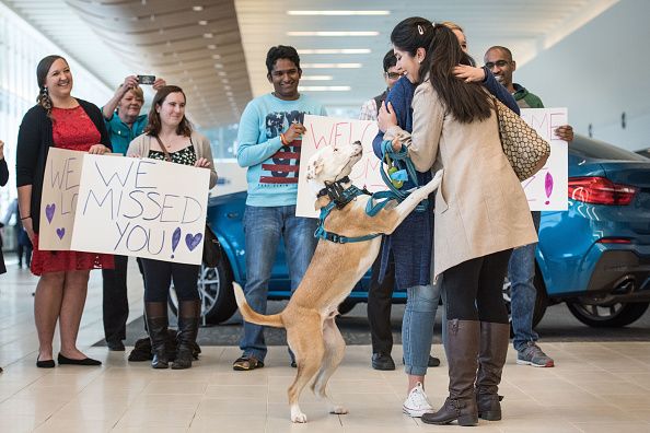 A traveler is greeted by friends.