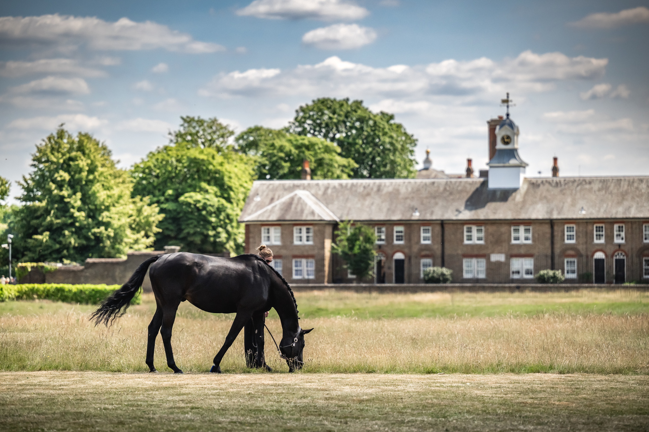 Images from the 2025 Goffs London Sale