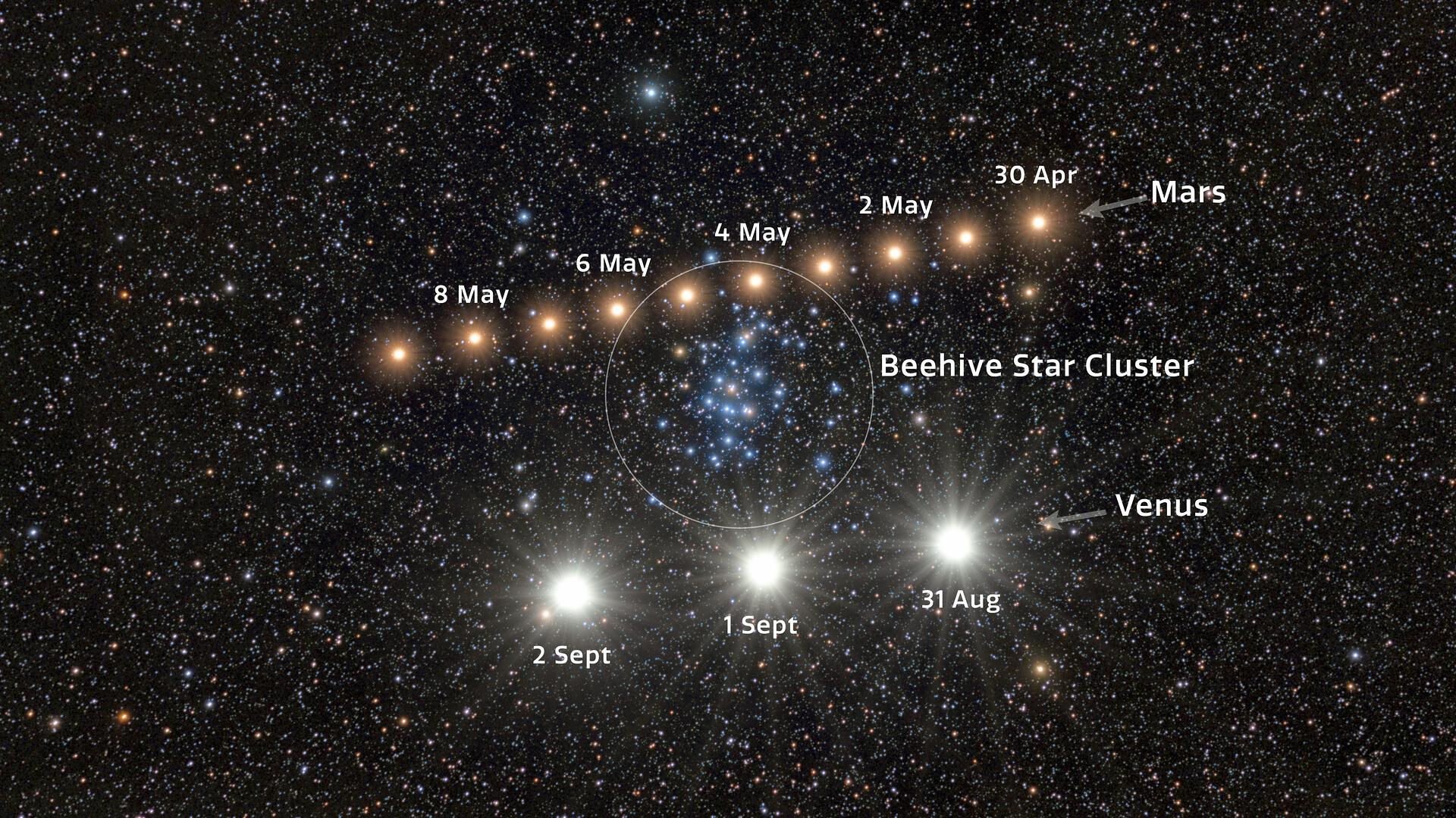 A series of bright golden dots form a diagonal line in the center of a starry night, with three larger whiter dots at the bottom of the image. Labels show the paths that Mars and Venus took through various weeks with the Beehive star cluster circled in the center of the image.