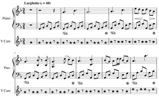 This piece, entitled "Awkward Keystrokes of Y Cam A," was written by Burak Ulaş in the diminished whole-tone scale, a musical scale which is a close analogy of the vibrations within the star itself. The tune is accompanied by chords also derived from the star's vibrations.