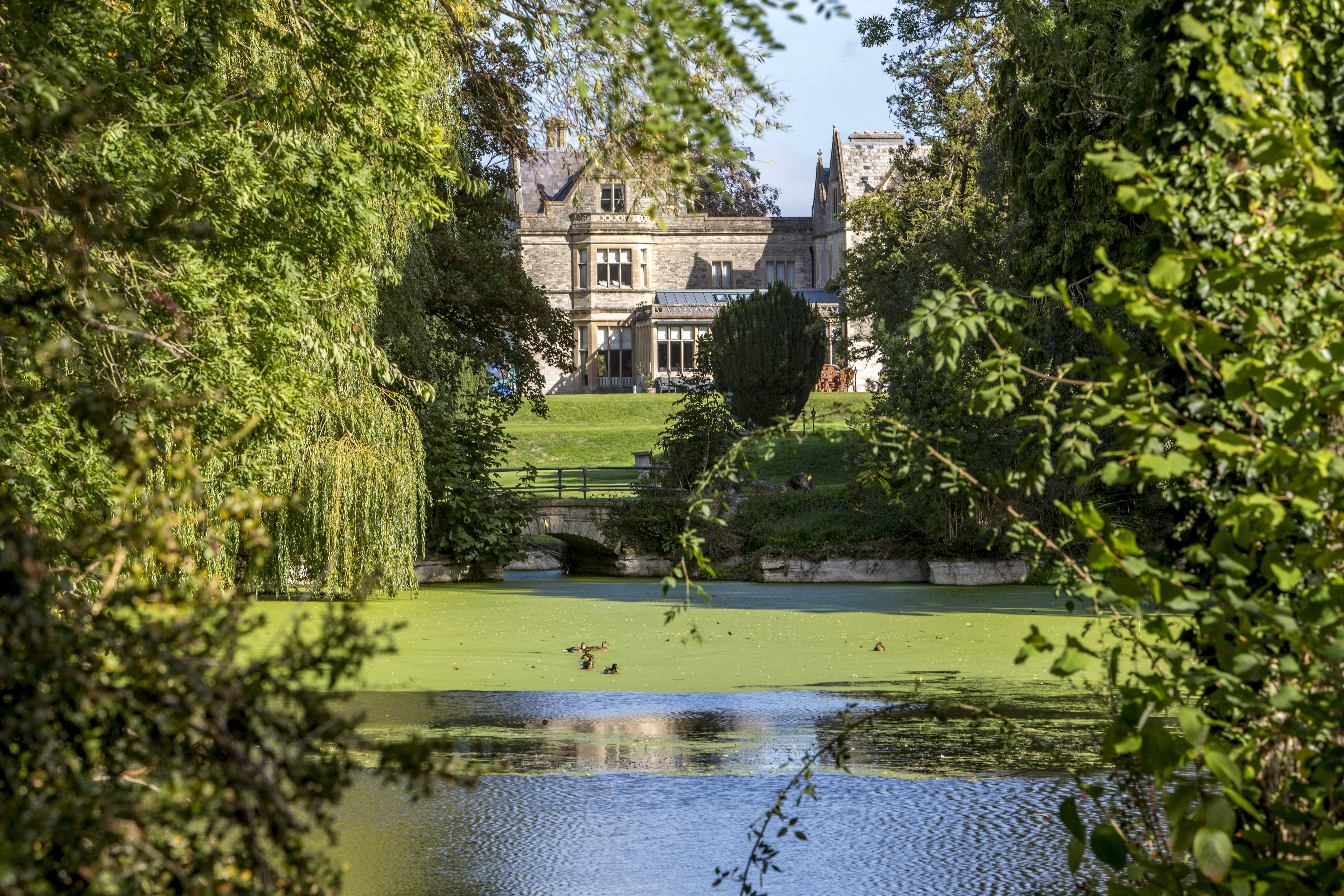 Houses for sale with libraries: Burton Hill, Malmesbury, Wiltshire.