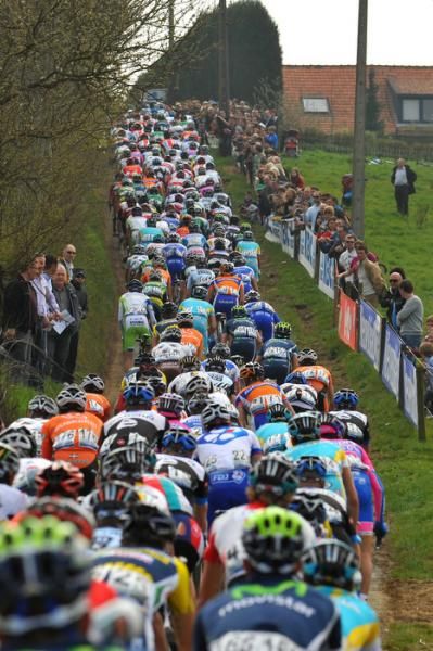 The peloton tackles a climb in Gent-Wevelgem.