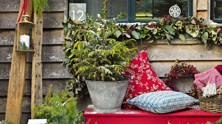 what to do with a Christmas tree after Christmas - potted christmas tree on an outdoor bench with cushions and other festive items