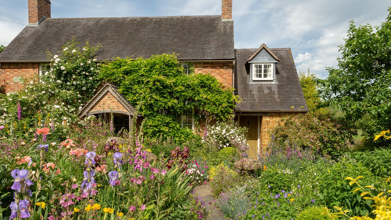 View of front garden of Meadow View planted with cottage garden plants