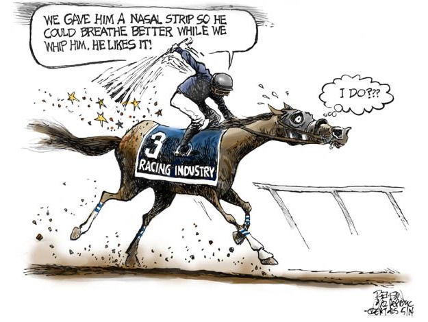 Editorial cartoon California Chrome