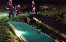 horse rescued from slurry pit