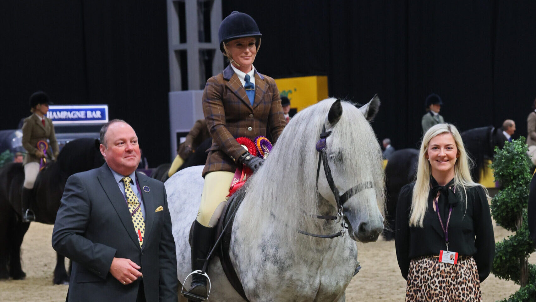 Highcroft Romany and Jess Talbot win the Dales class and are one of 25 stunning M&amp;amp;Ms who won at HOYS