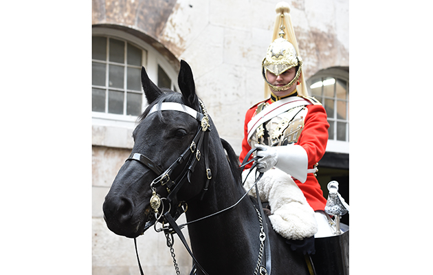 The regiment&rsquo;s horses are largely Irish-bred, standing at a minimum of 16.2hh and most of them are black, aside from those ridden by trumpeters, which are traditionally grey