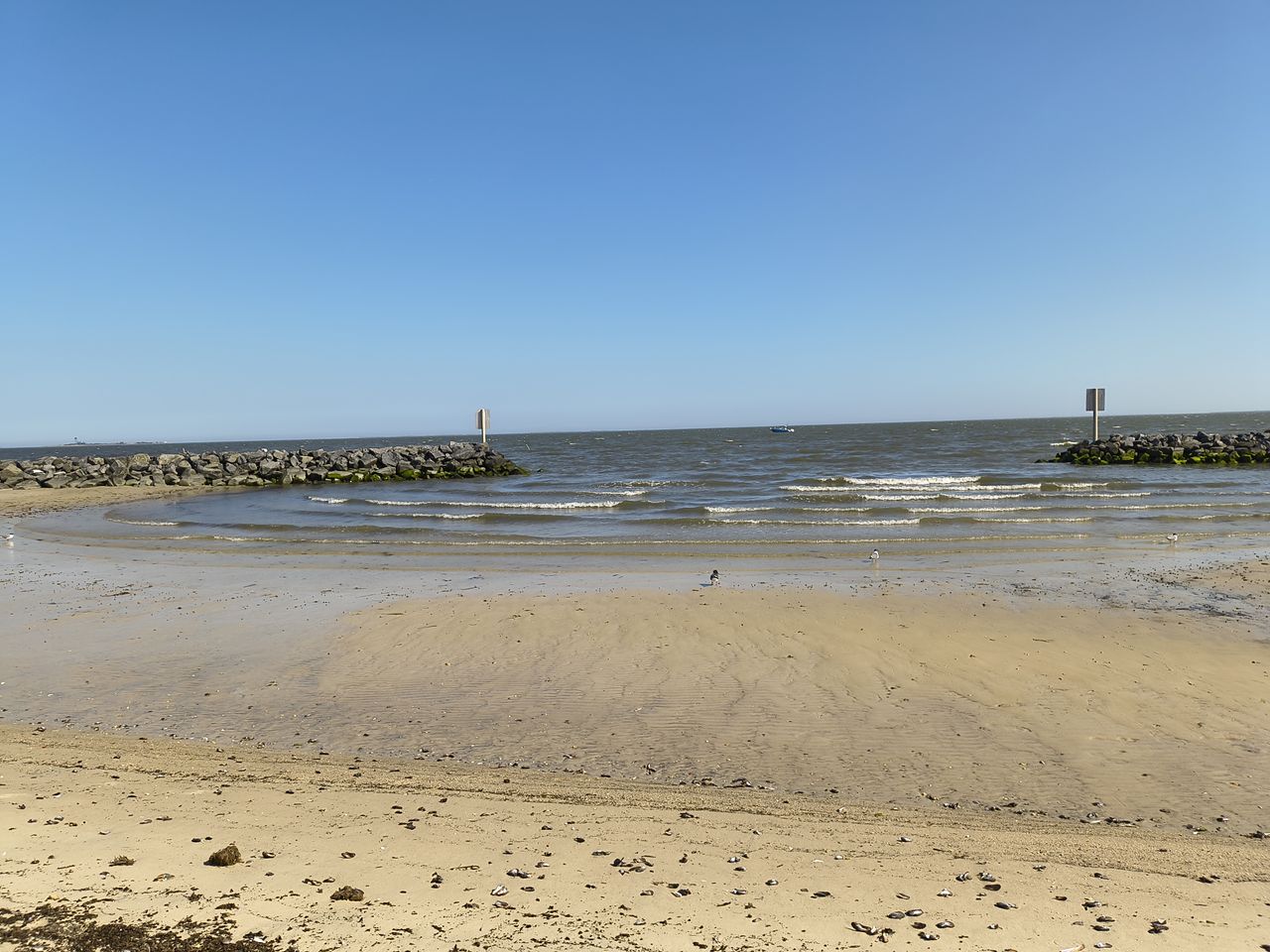 Bay beach shots captured with the Motorola Razr 2026 camera.