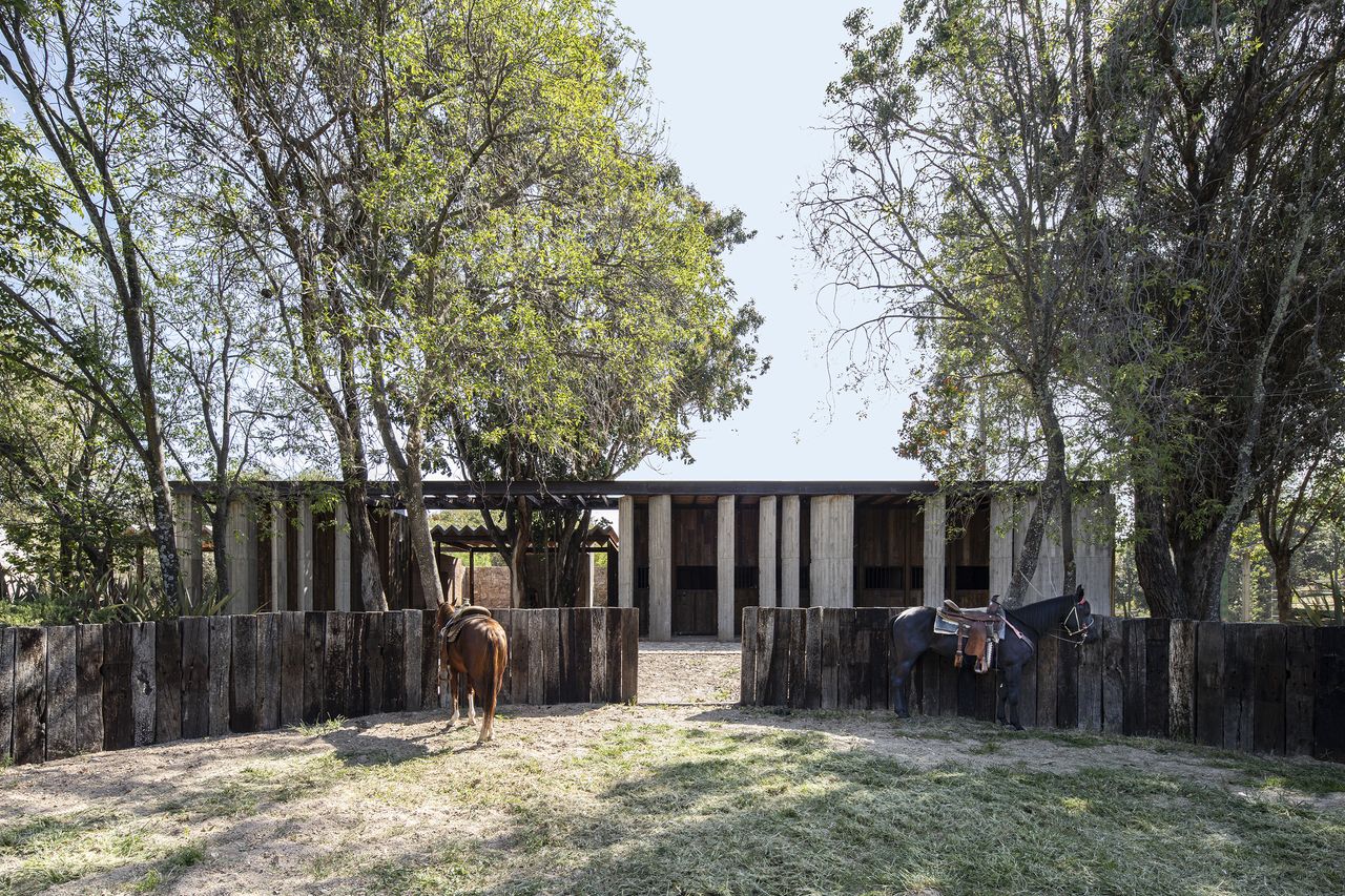 Two horses, one brown, and one black are standing next to a wooden fence.