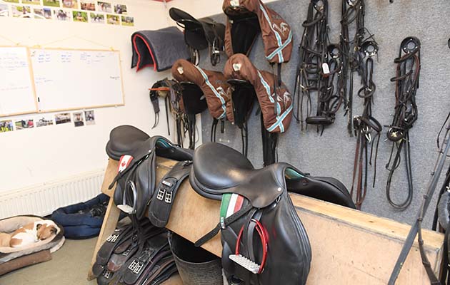 Cranford Stud Eventing 26 01 2018