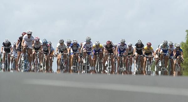 The peloton in the women's race head towards the back of the course in Geelong.