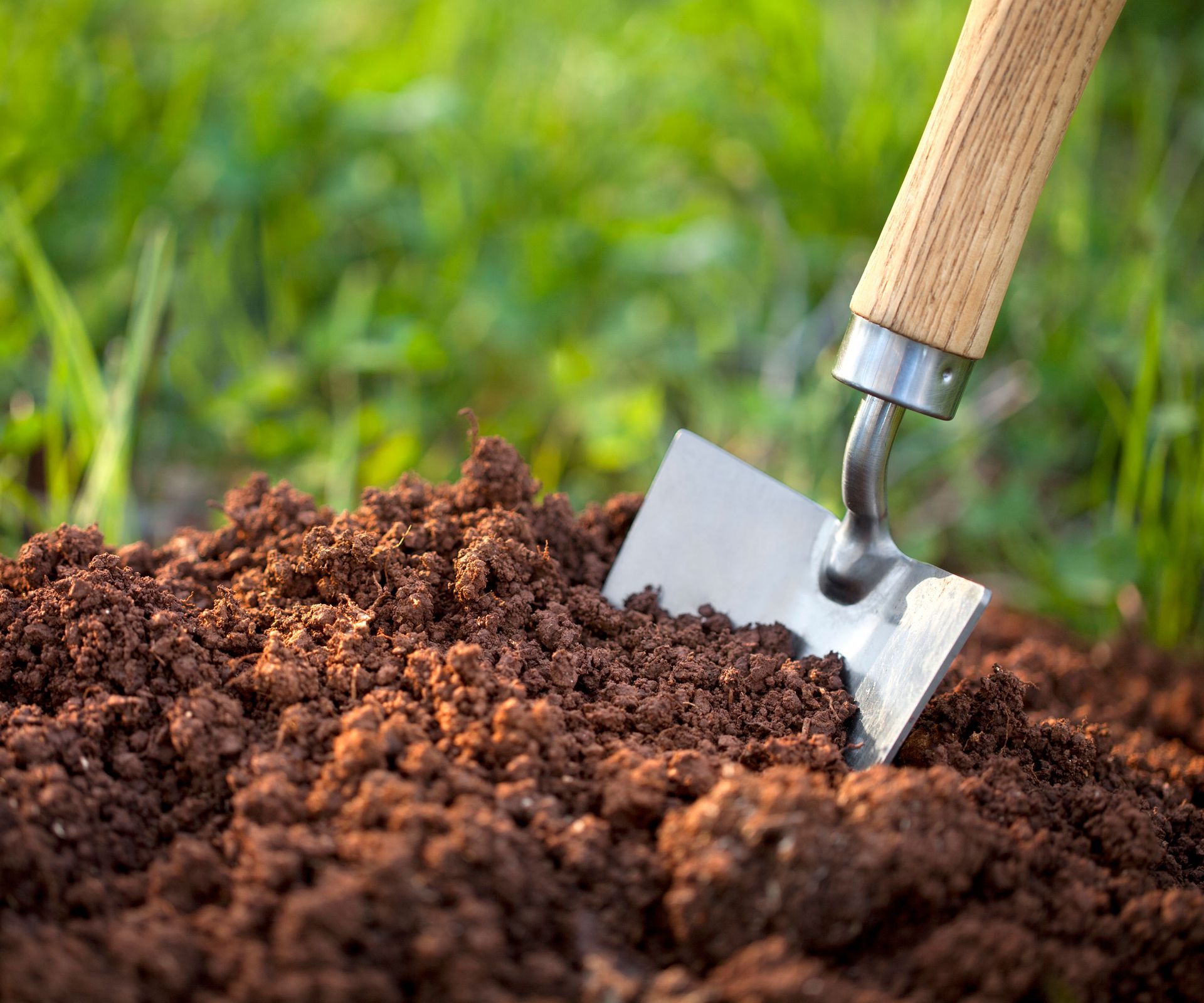 wooden handled trowel in soil near grass