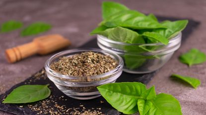 Dried and fresh basil on countertop