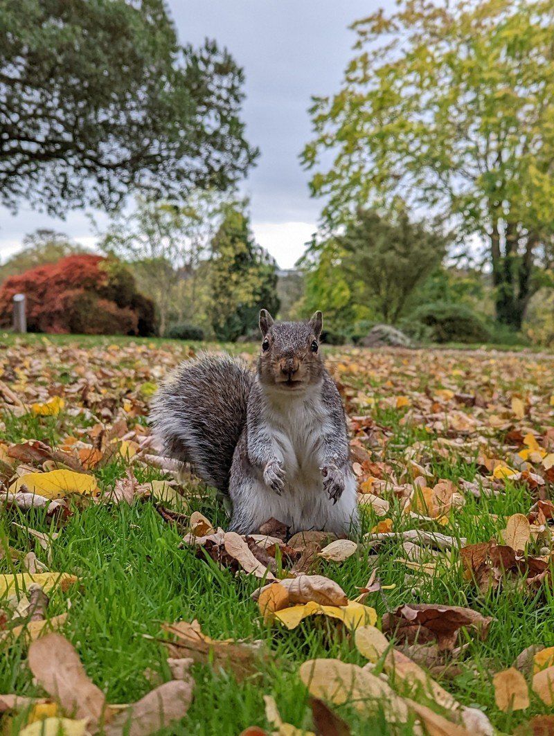 Pixel 6 Sample photo