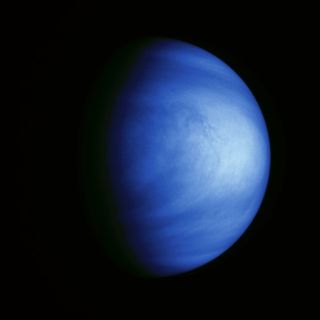 Venus, captured in 1990 by NAS's Galileo spacecraft as it got a gravity assist from Venus to send it on towards Jupiter. The blue hue is added false color to emphasize the subtleties in the sulfuric acid clouds.