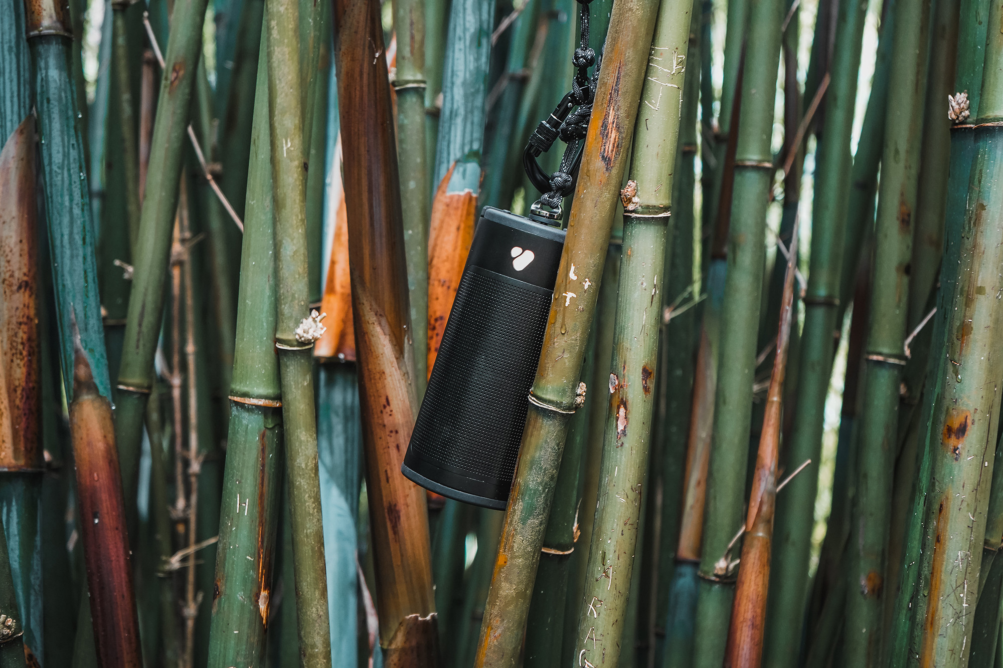 Pine Beat speaker by Poca Audio