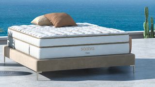 Saatva Classic mattress on a sunny patio