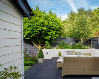 decking with corner sofa with a laurel tree (also known as a bay tree) creating privacy