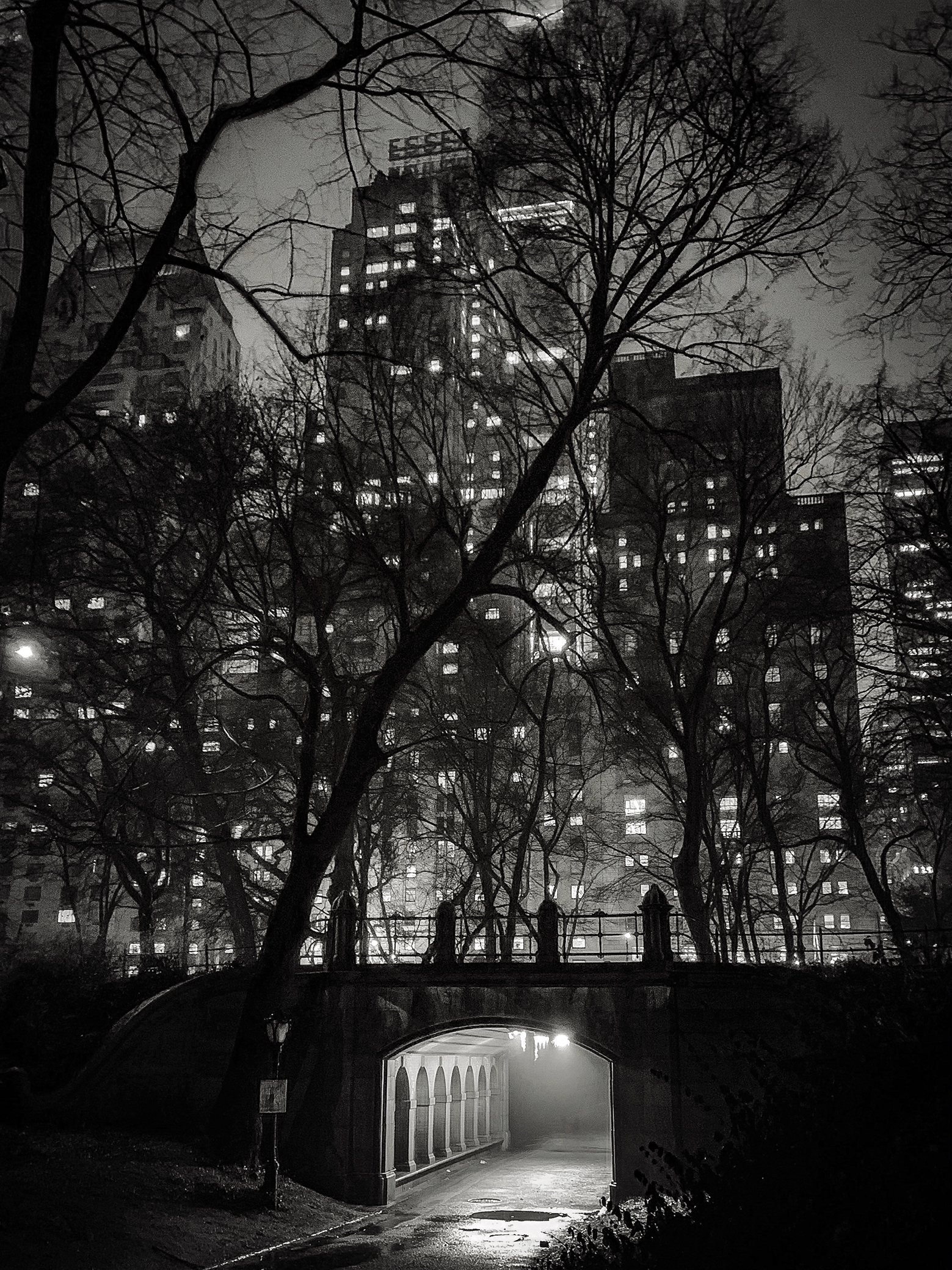 A dimly lit bridge surrounded by bare trees and skyscrapers, creating a mysterious urban atmosphere at night