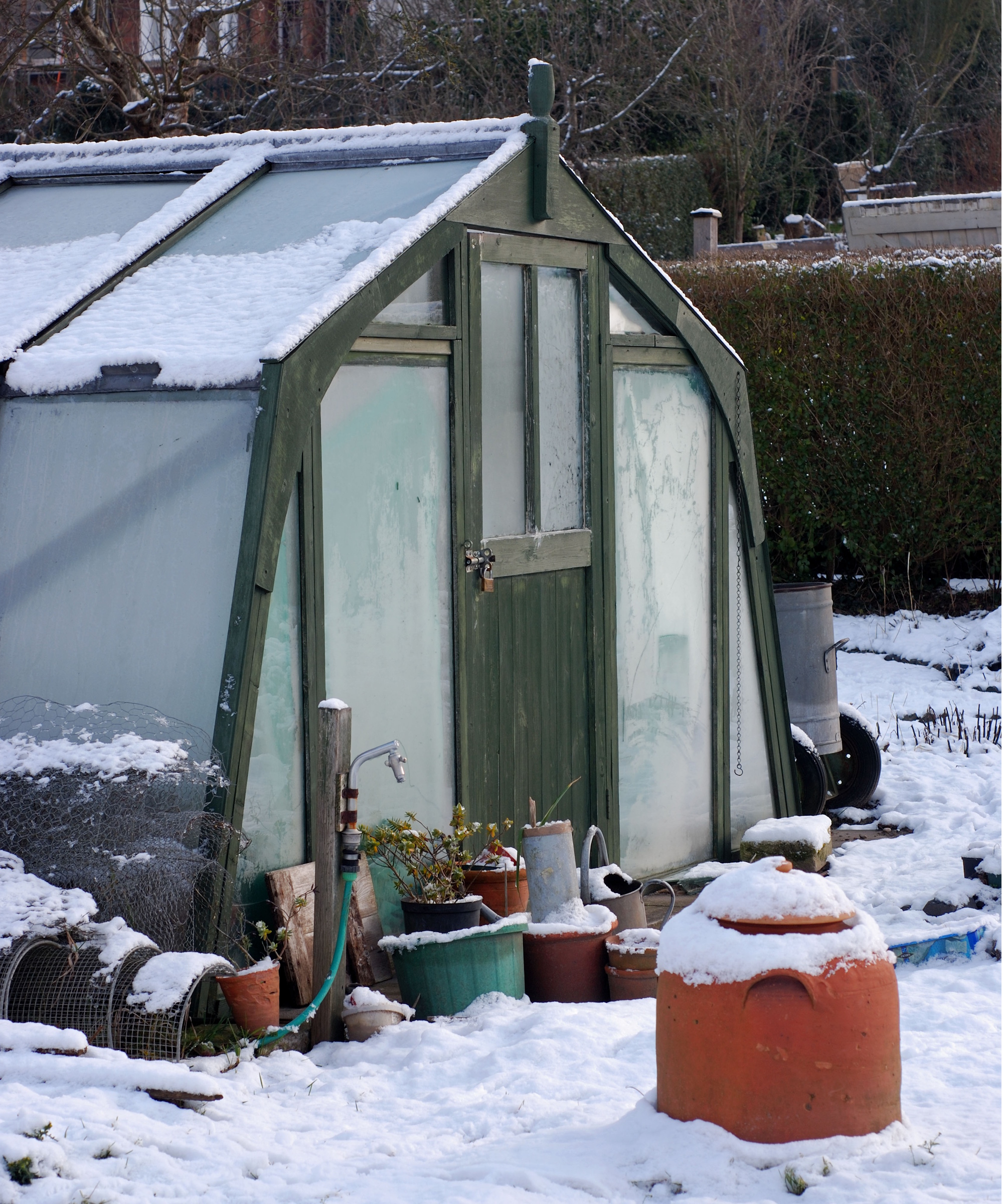 Greenhouse in snow