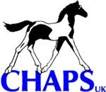 chapsmain.jpg