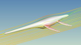 A computer simulation shows flow patterns over the 3D model of a plesiosaur, a type of Elasmosaurus. 