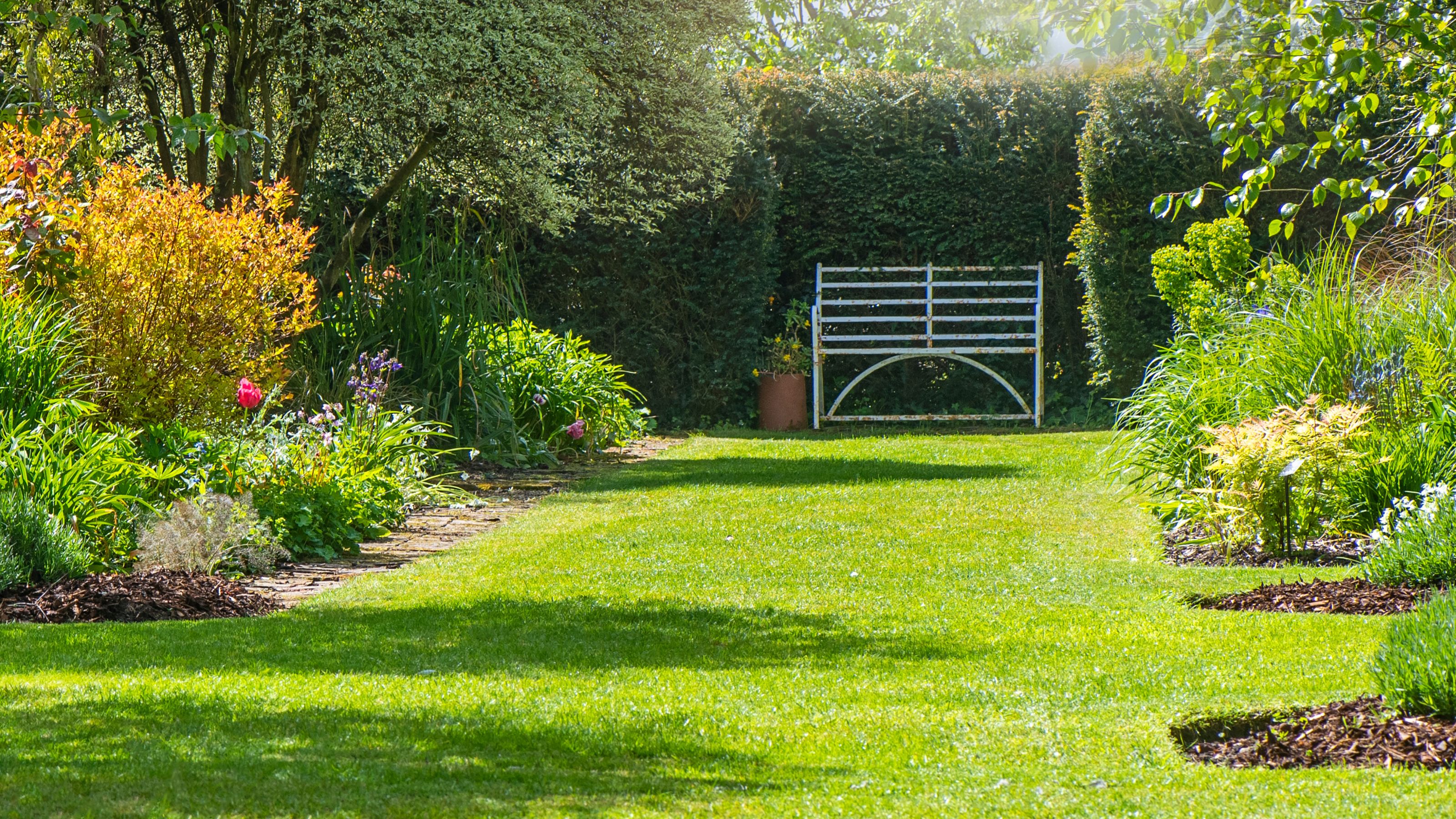 lawn with flower beds and bench
