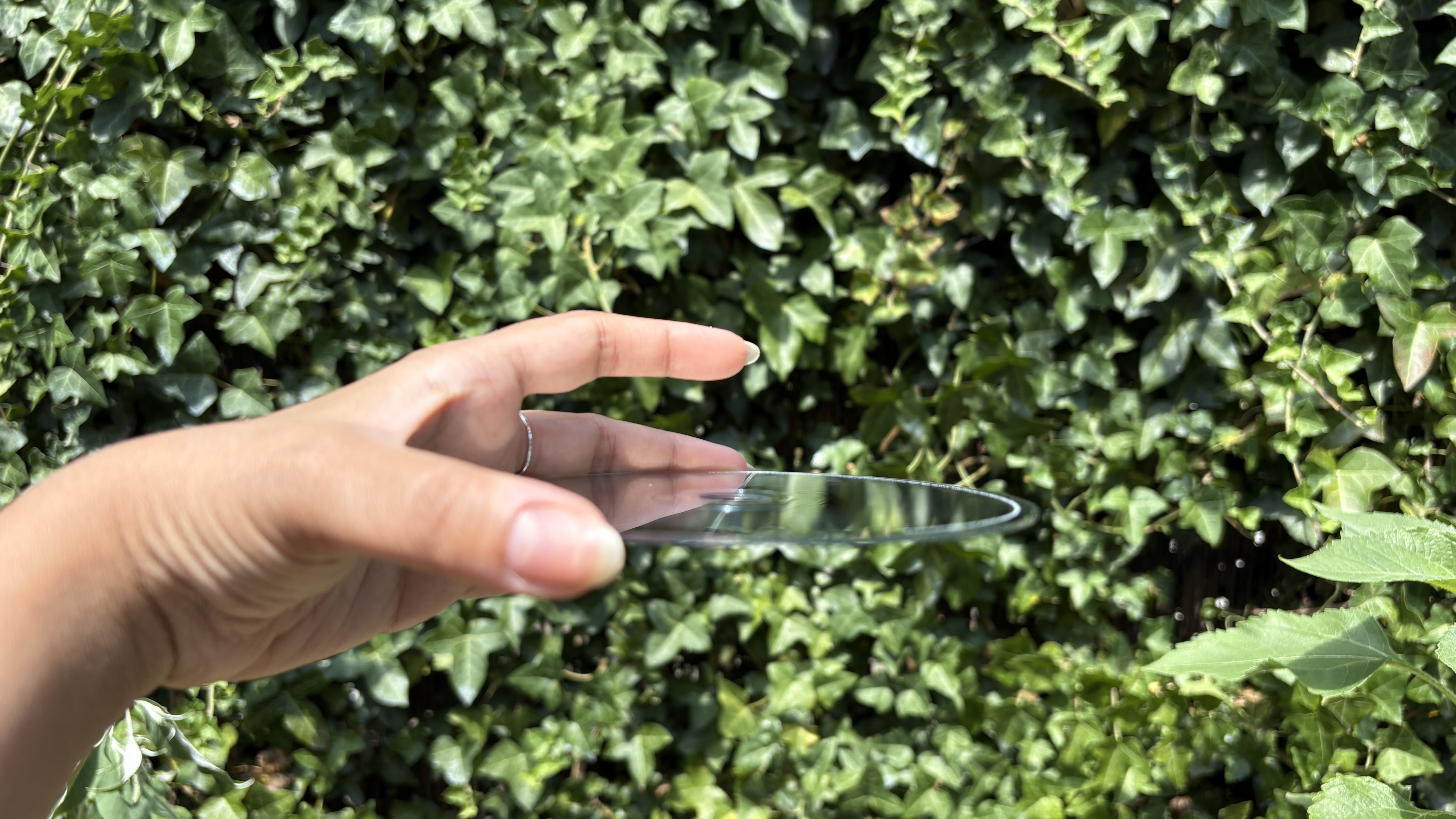 Lorde transparent CD held in hand