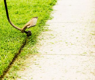 A lawn trimmer edging a lawn