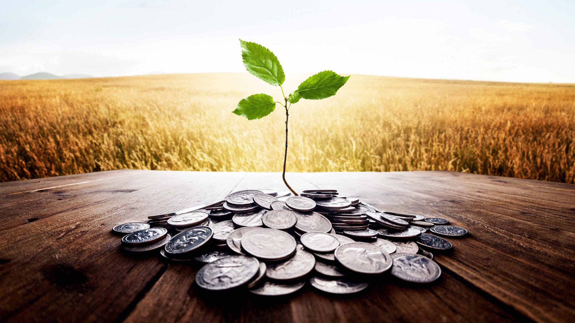 ESG Fund: Brown Advisory Sustainable Bond Fund