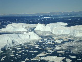 Jakobshavn ice bergs